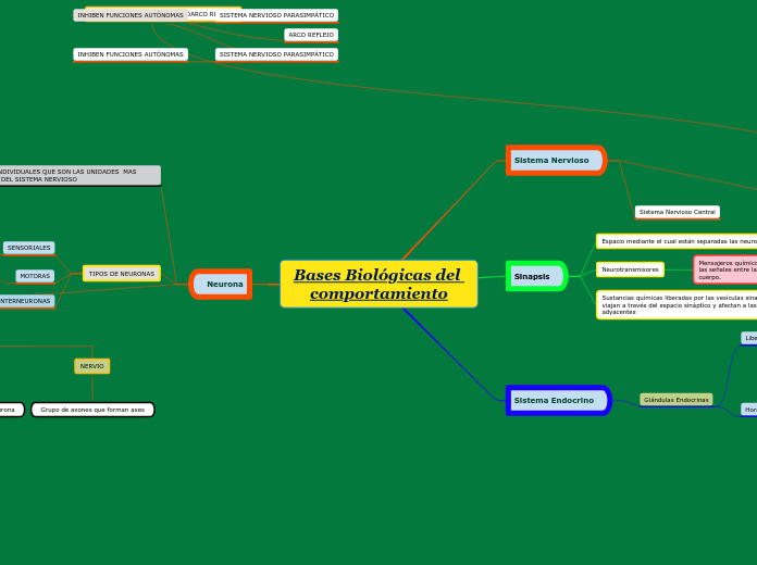 Bases Biológicas Del Comportamiento - Mind Map